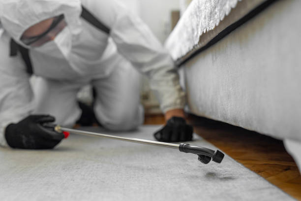 Professional Cockroach Control technician working in Hooker, OK