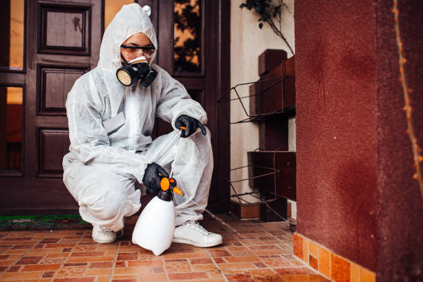 Reliable Cockroach Control contractor in Hooker, OK by Nex Pest Control